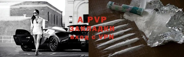 spice Богородицк