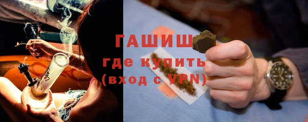 spice Богородицк