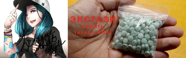 spice Богородицк