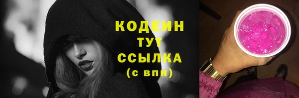 spice Богородицк
