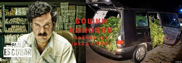 spice Богородицк