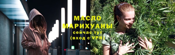 spice Богородицк