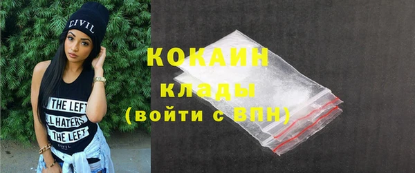 spice Богородицк