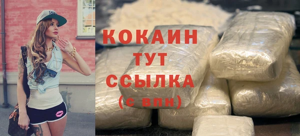 spice Богородицк