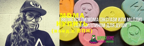 spice Богородицк